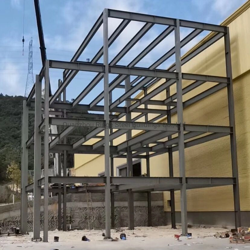 Gable Roof Prefabricated Light Steel Structure Storage Erection