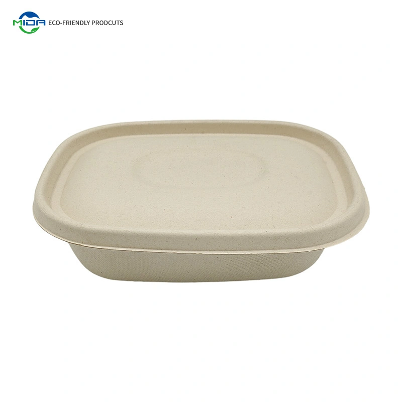 Biodegradable Pizza Boxes Compostable Clamshell Containers Cutlery Dinnerware Sugarcane Food Tray Bagasse Bowl Lunch Box Tableware Used Restaurant Plates