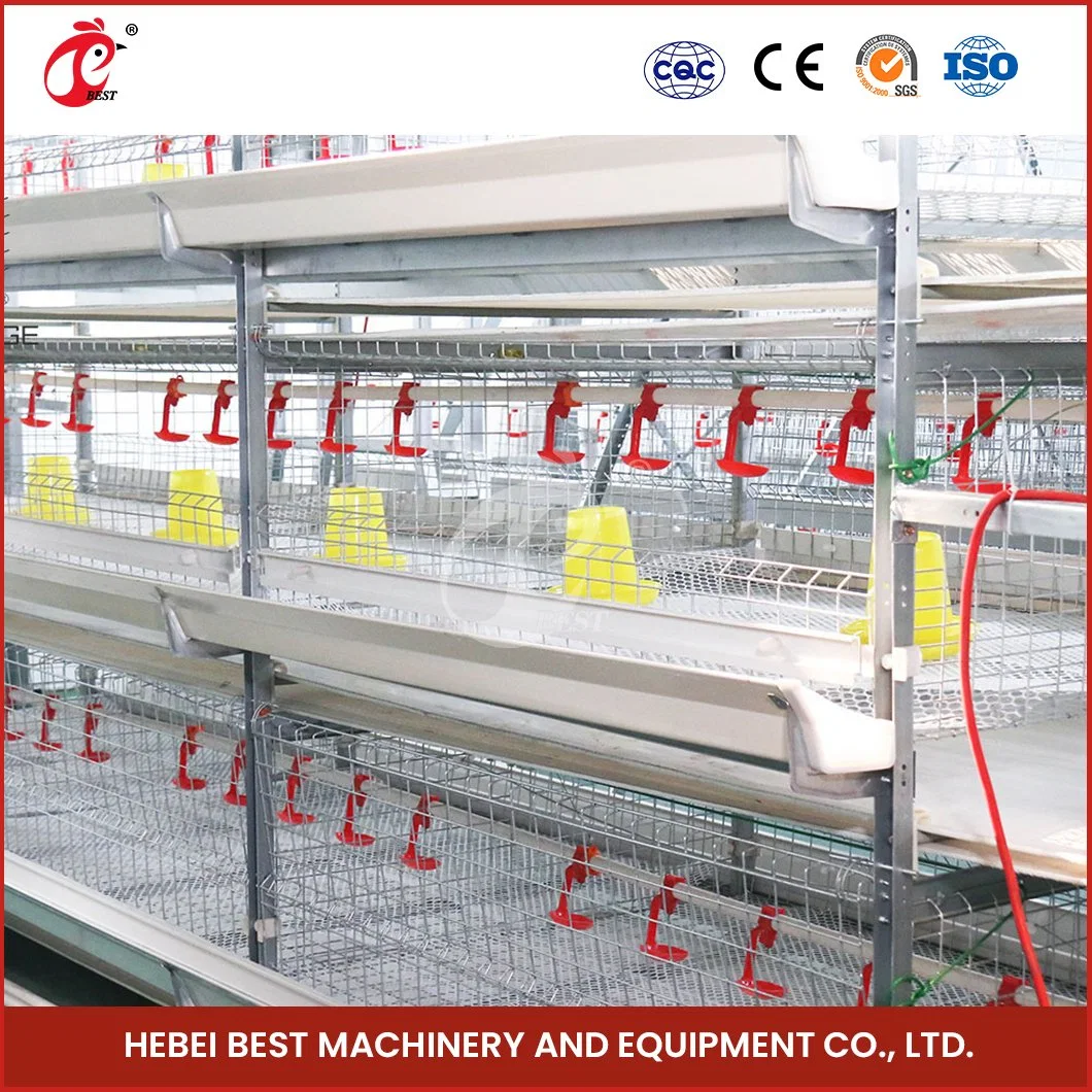 Bestchickencage China Automatic Breeding Chicken Cage Suppliers H Frame Automatic Boriler Cages Wholesale/Supplier Quick Clean Disinfect Features Battery Chicken Cages