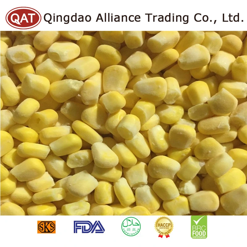 Wholesale/Supplier Bulk Price Frozen Super Sweet Corn Kernels IQF Corn with Exporting Standard