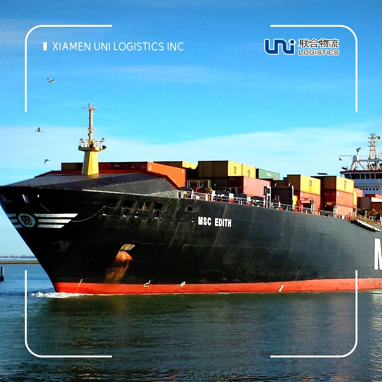 Swire Shipping, Sea Freight, Logistics Services From China to Bell Bay, Australia