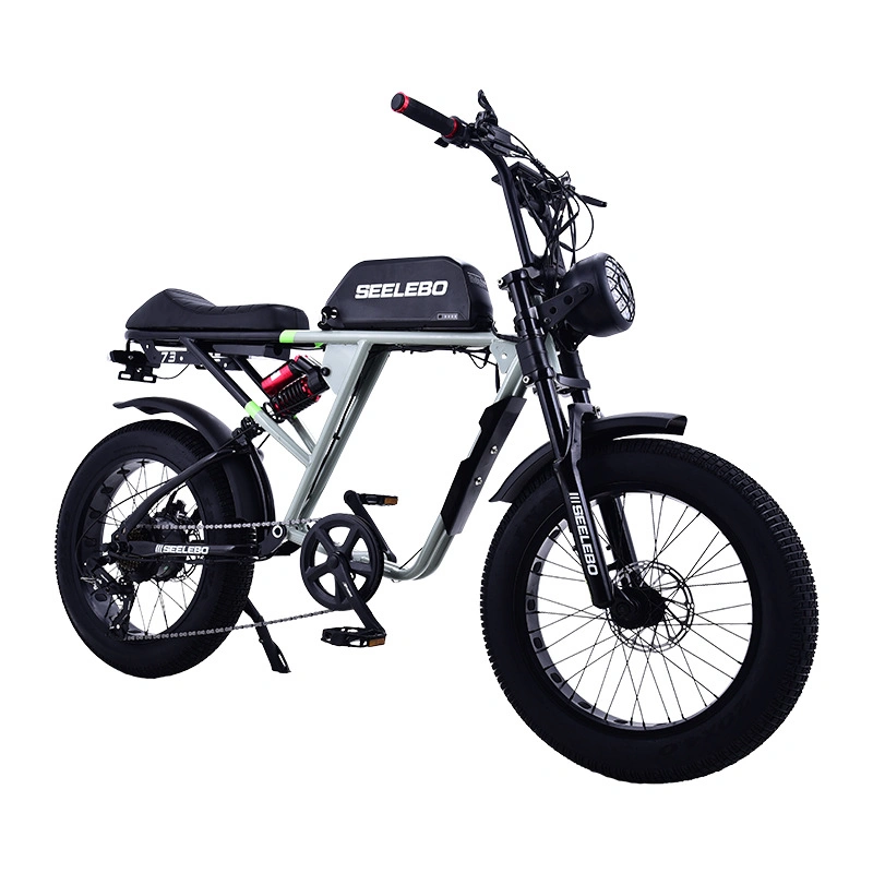 Bicicleta eléctrica reemplazo de plano Retro Electric Snowmobile hombres y mujeres 48V bicicletas de montaña Power