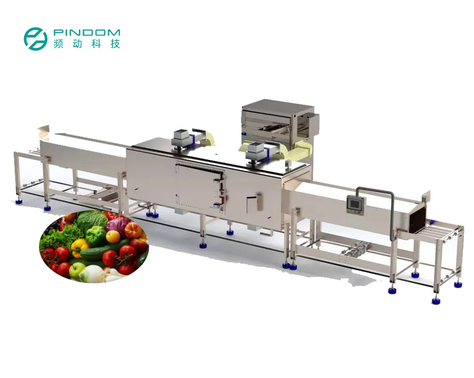 Industriemuttern Trocknungsmaschine Förderband Trockner Tunnel Obsttrockner Mikrowellengerät