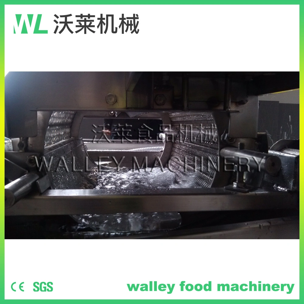 WL Industrial Vegetable and Fruit Bubble Washing Machine