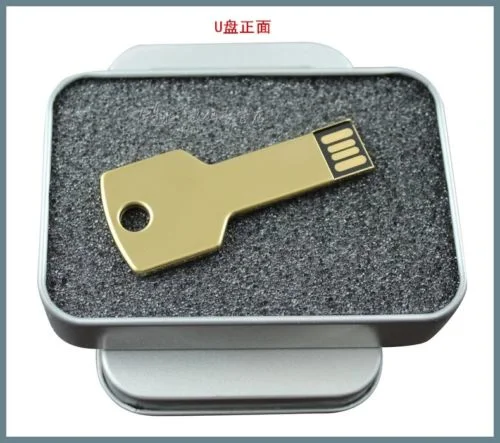 Metal Car Key Custom Laser Company Logo USB 2.0 Memory Flash Pen Drive