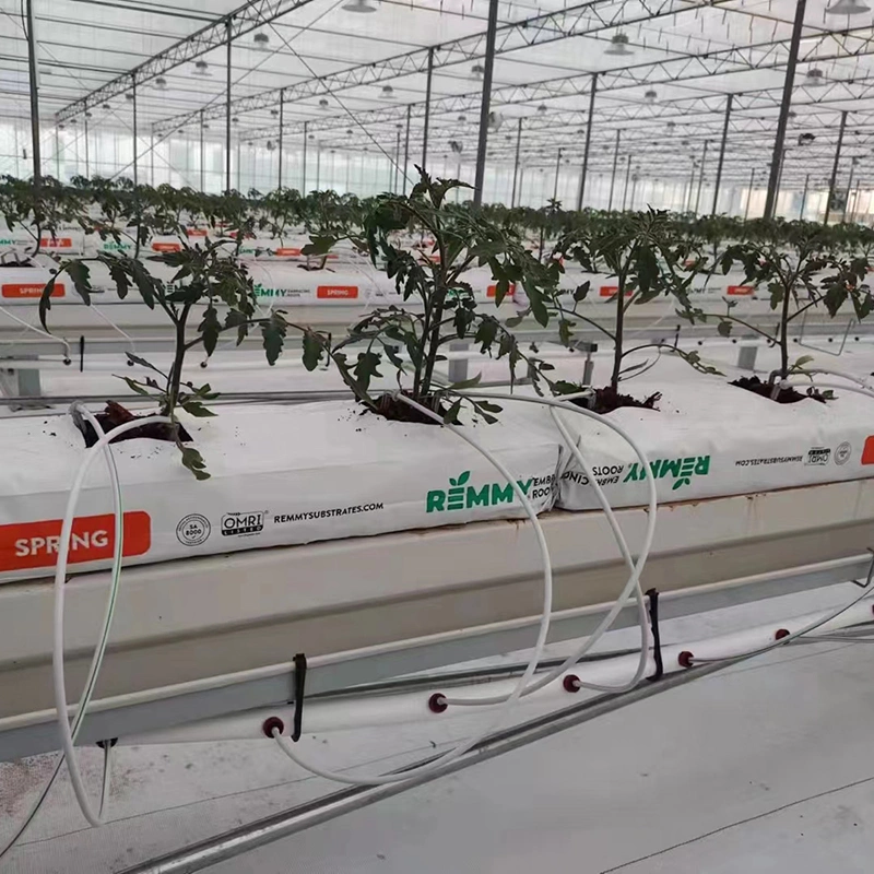 Customized Glass Structure Greenhouse From Chinese Suppliers