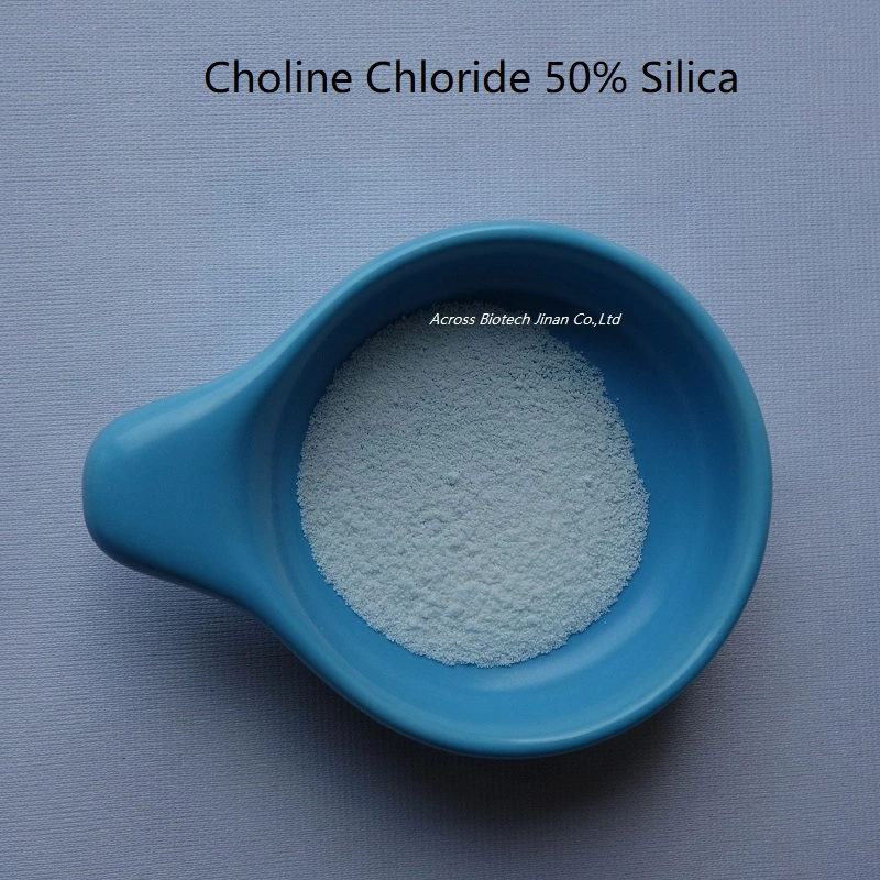 Bulk Stock Feed Grade Choline Chloride 50%/C5h14clno Price