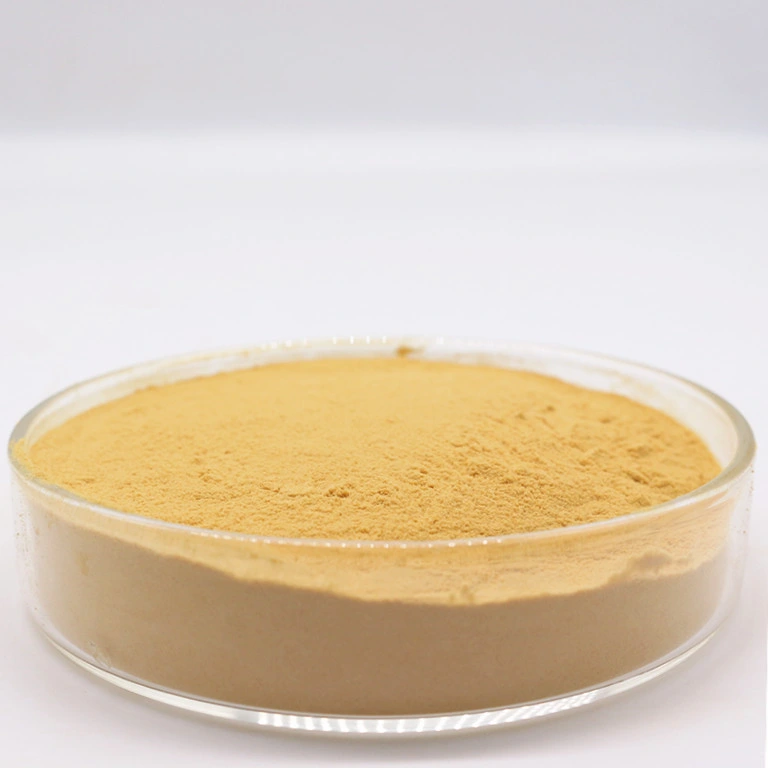 Best Chitosan Food Grade 100% Watersoluble Chitosan Powder