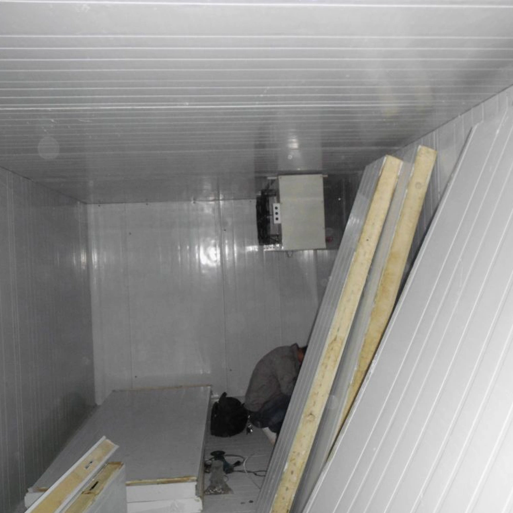 Robust Consistent Energy-Efficient Storage Cool Freezer Room with Freezing Unit