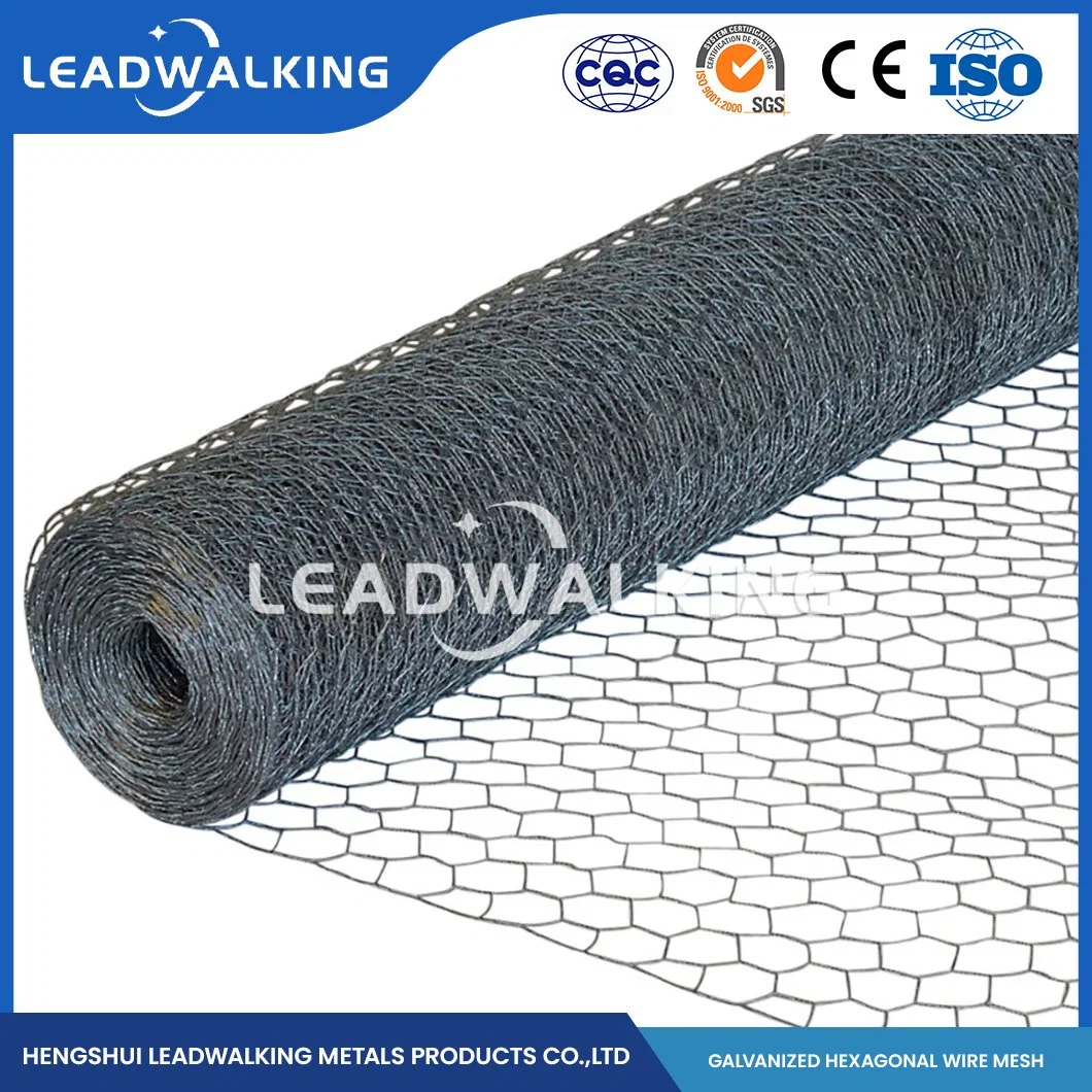 Leadwalking China Square Hole Chicken Wire Manufacturers Mild Steel Wire Material 3/8 Inch Mesh Iron Wire Hexagonal Mesh