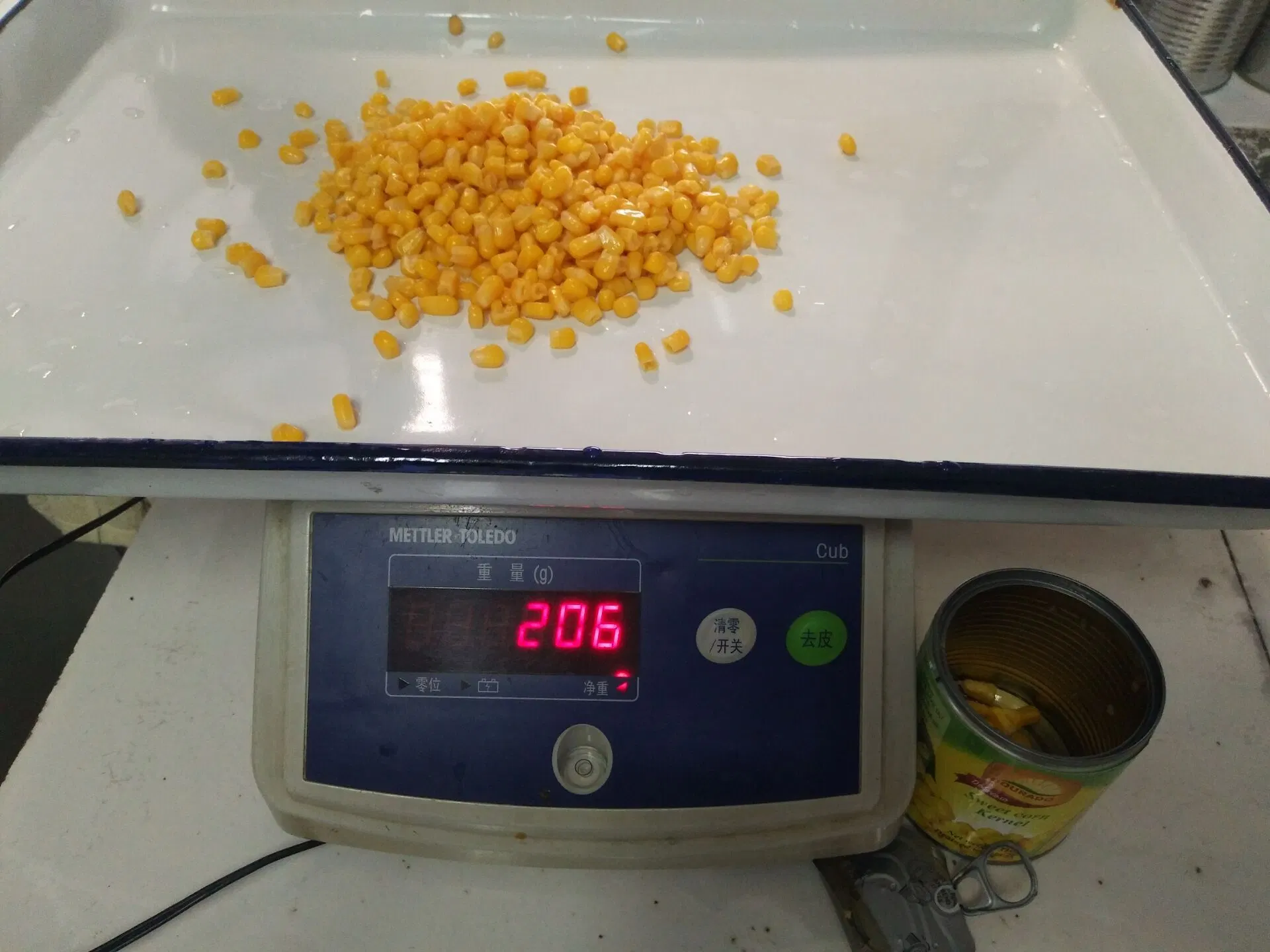 Nuevo cultivo de maíz dulce fresco 310g en lata con personalizado OEM
