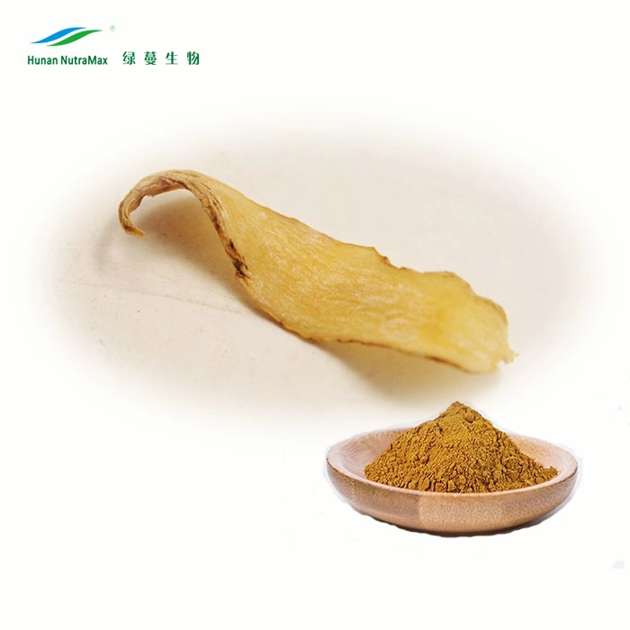 Herbal 20: 1 Gastrodin 98% Gastrodia Elata Powder Extract