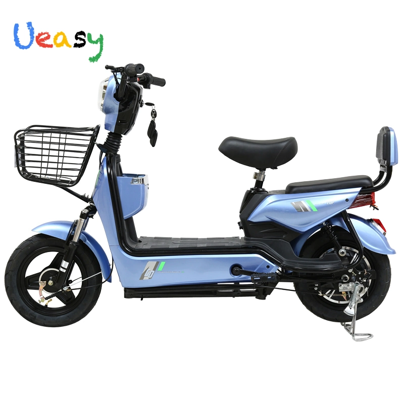 Nouveau électrique 350W 48V12ah Dirt Bike Electric acheter vélo électrique prix bon marché