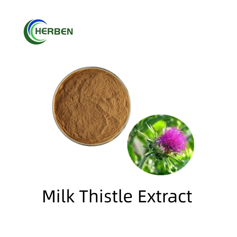 Factory Supply Milk Thistle Extract 80% Silibinin Powder