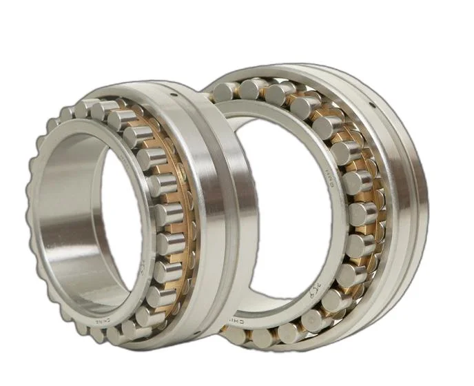 Double Row Cylindrical Roller Bearing/Nn3022K/P491W33/Rolling Bearing Made in China