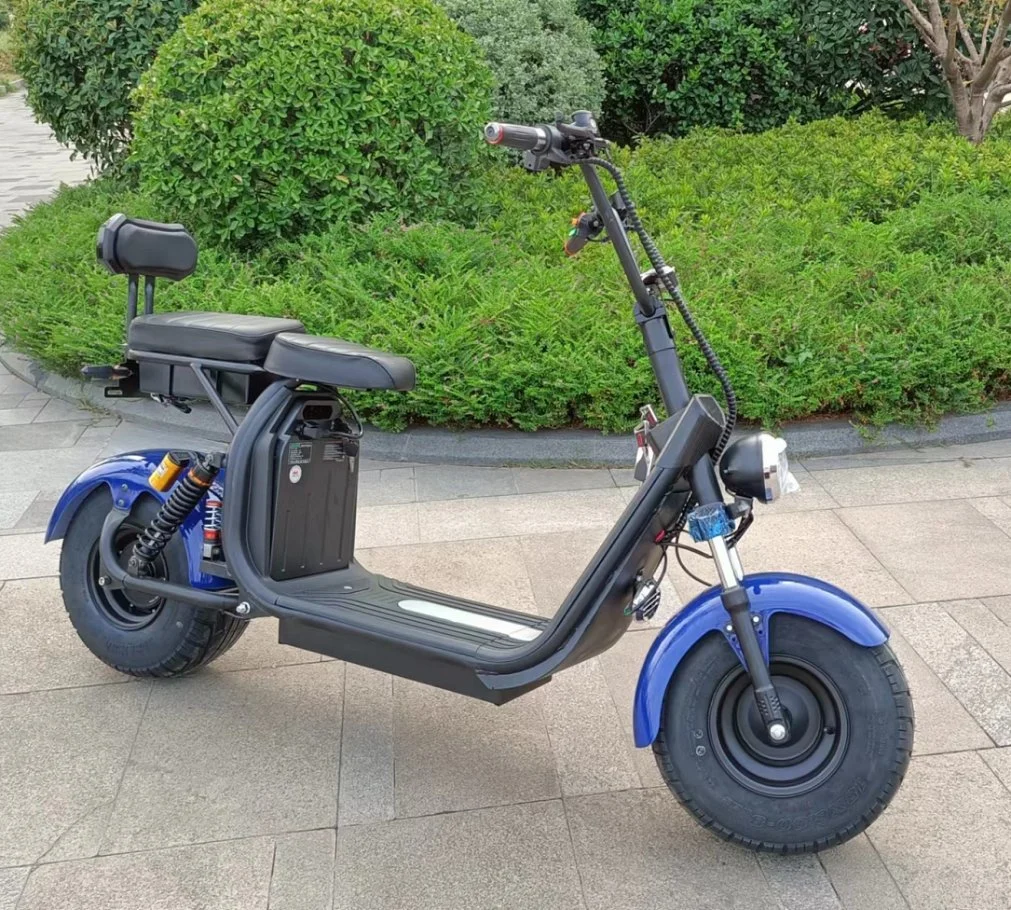 Fábrica directamente 1500W Scooter movilidad Eléctrica Venta en caliente de Productos en China