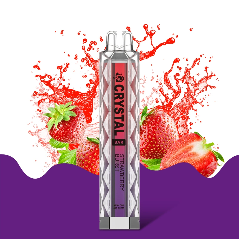 Disposable/Chargeable Vape Wholesale/Supplier Price Cheap Fruit Flavor Shenzhen Factory