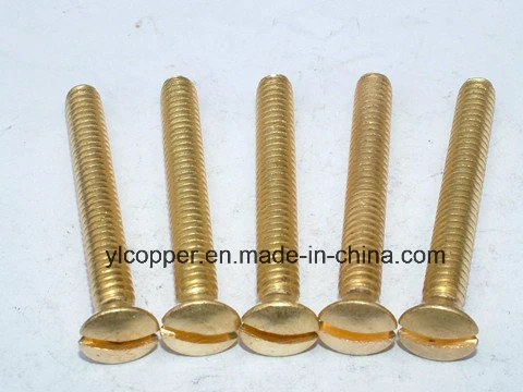 Brass Cold Forging Screw Brass Standard Screw Brass Round Head Screw