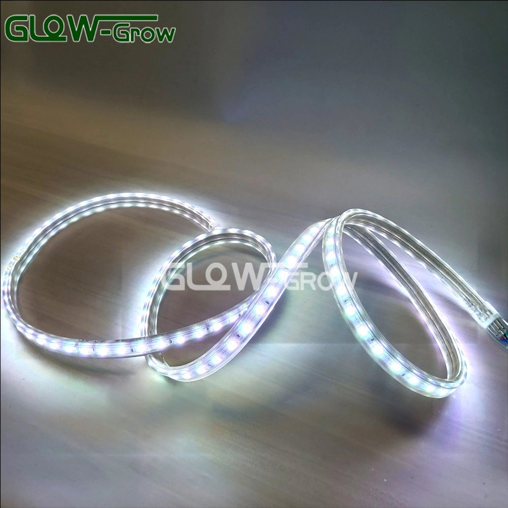 IP65 Flexible Farbe ändern Hochspannungs PVC Seil Licht RGB LED-Streifenleuchte mit IC-Design