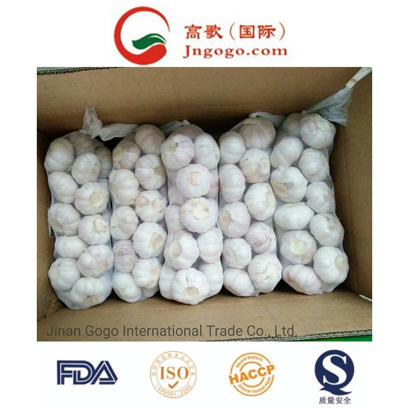 2023 Crop Fresh Chinese New Normal White Garlic