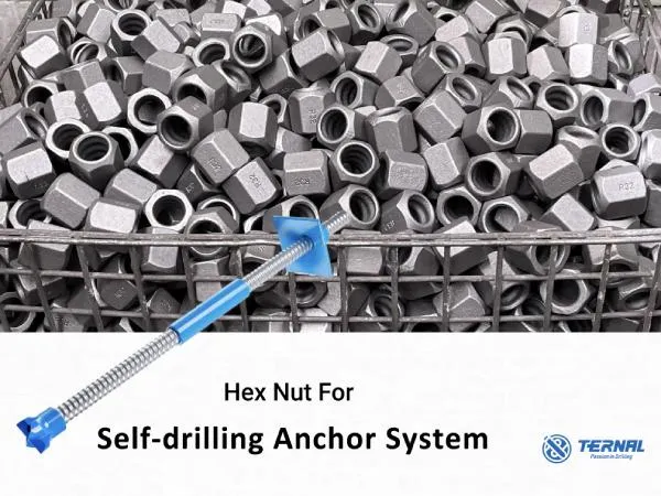 Self-Drilling Anchor Bolt Hexagonal Nut