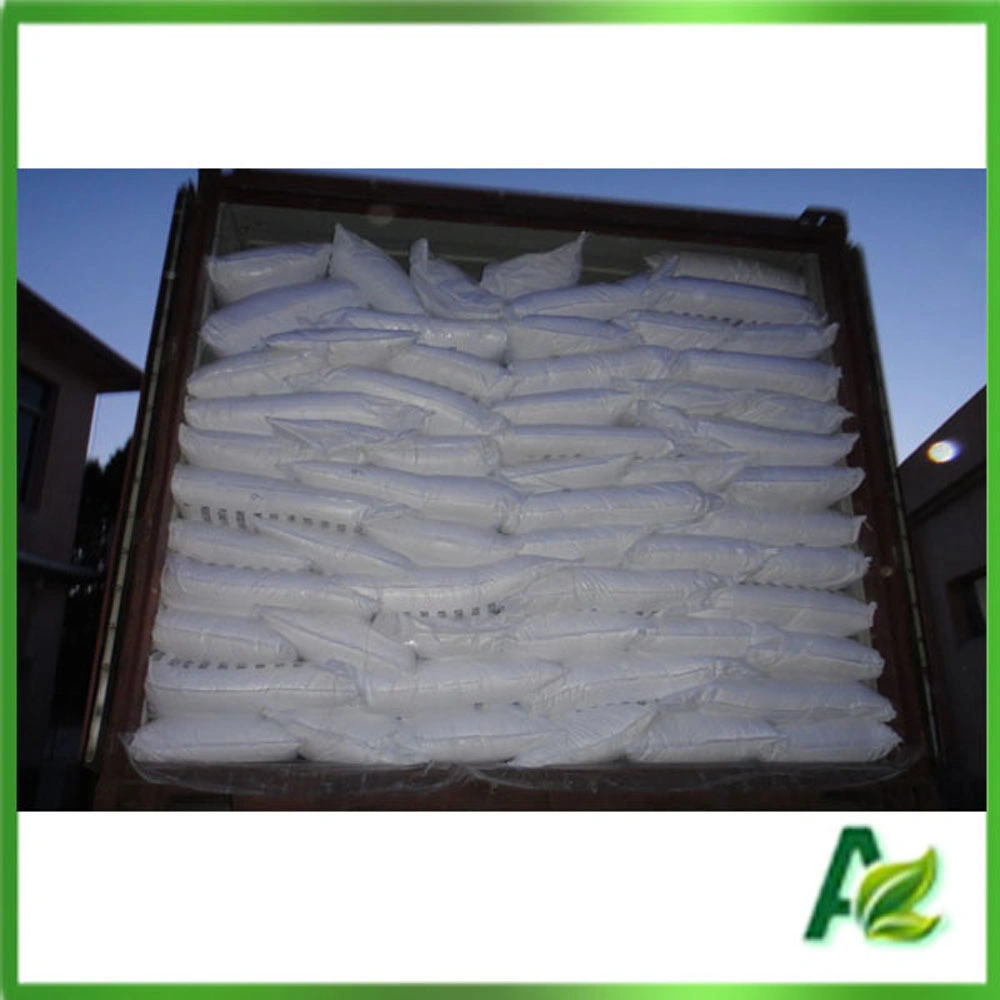 Food Grade Preservative Sodium Benzoate Powder Made in China