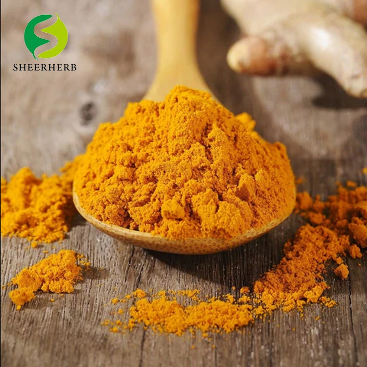 2022 Pure Turmeric Curcuma Longa Extract Organic Curcumin Powder Turmeric Root Extract with Bioperine 95% Curcuminoids