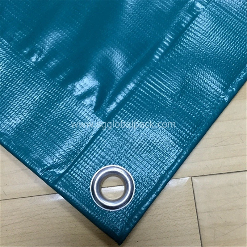 SGS Certified Factory Wholesale/Supplier Best Price Plastic Material Heavy Duty Coated PVC Waterproof Tarpaulin Sheet