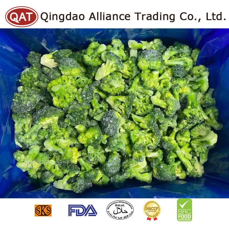 Vegetais congelados de grande valor Organic Green Broccoli IQF picking Broccoli Para grossista Foodservice