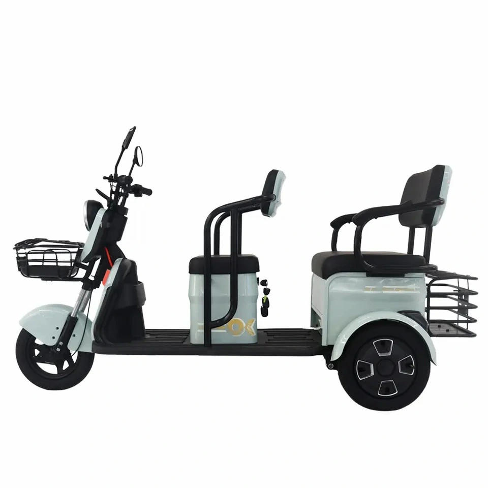 Hot Sale Electric Scooter Passenger Tricycle with Customized Services Leisure Trike for 3 Wheel Mobility Scooter Family Use Motor 800W