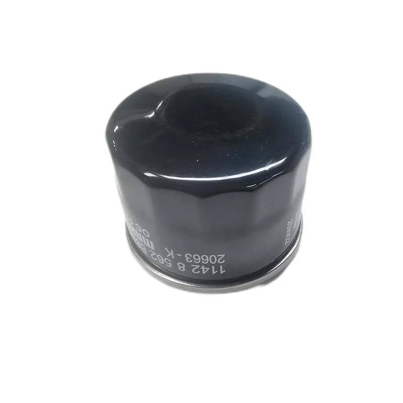 Motorcyle Oil Filter for Adv 6270028012-33301-4280