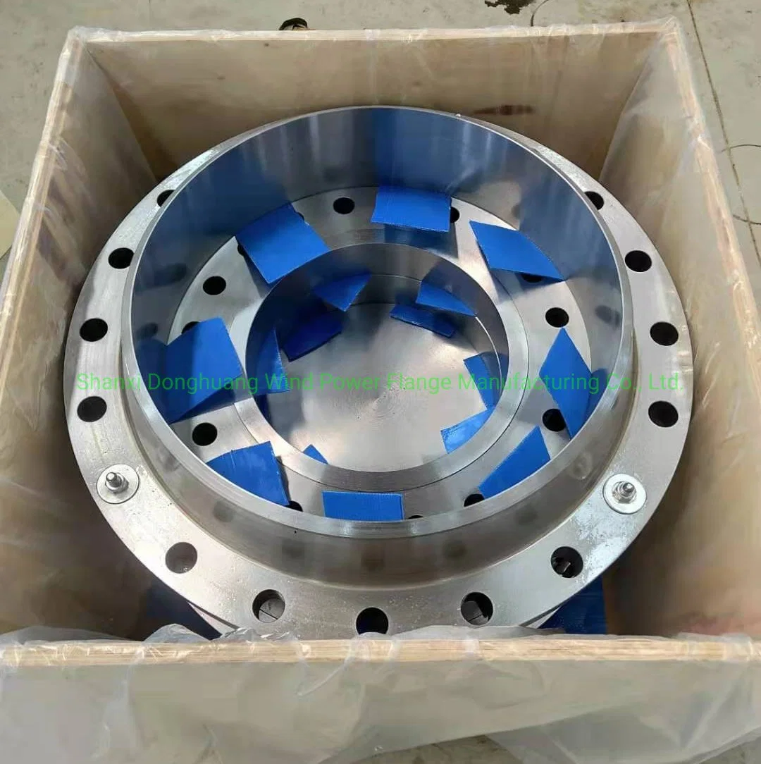 SS316L Welding Neck Flange Wn Flange Wnrf Wnff Raised Face Flange Flat Face Flange (DH026)