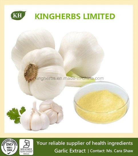 Garlic Extract Deodorized 1%, 2%, 3%, 5% Allicin