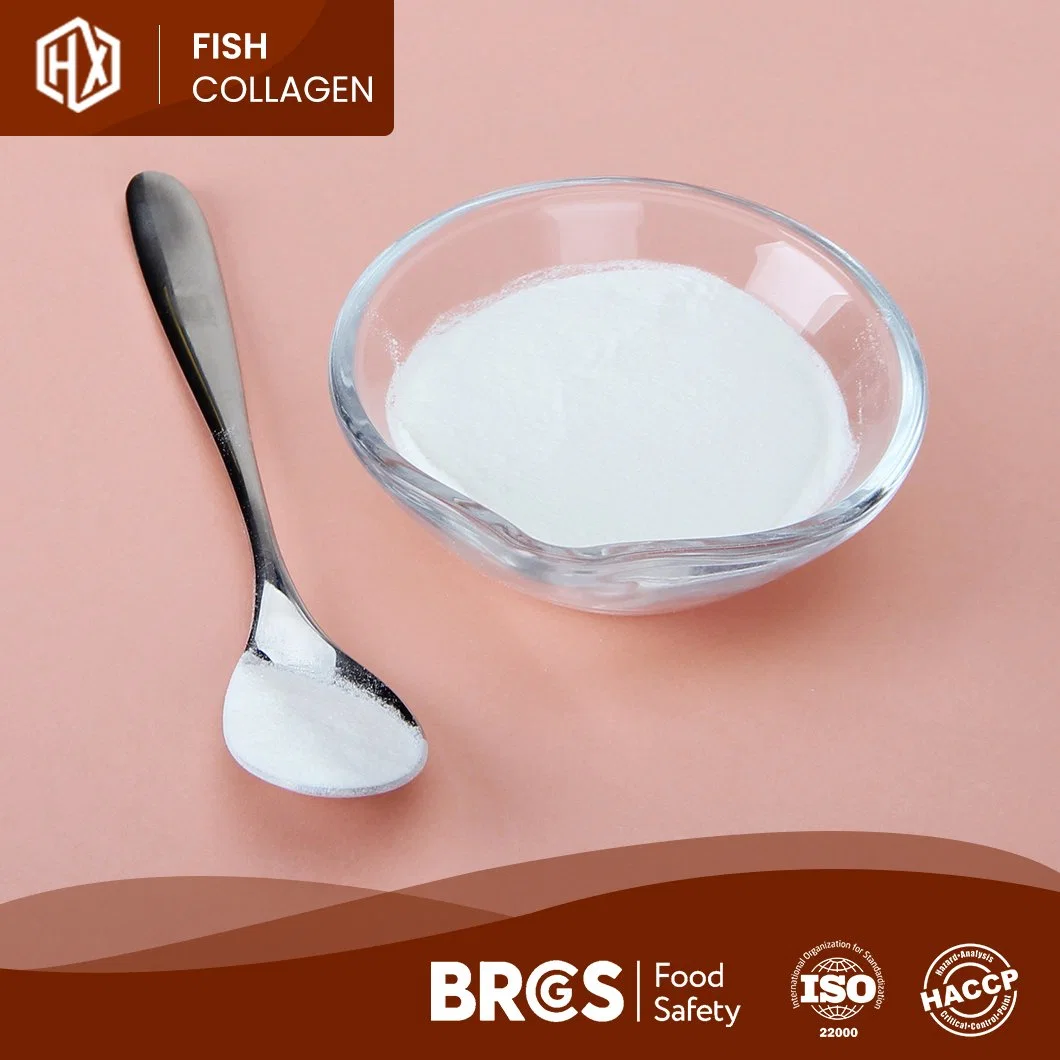 Haoxiang Cheap Price Best Selling Marine Hydrolyzed Collagen Protein Powder Freely Provided Sample China Health Care Tilapia Scale Collagen Peptide Powder