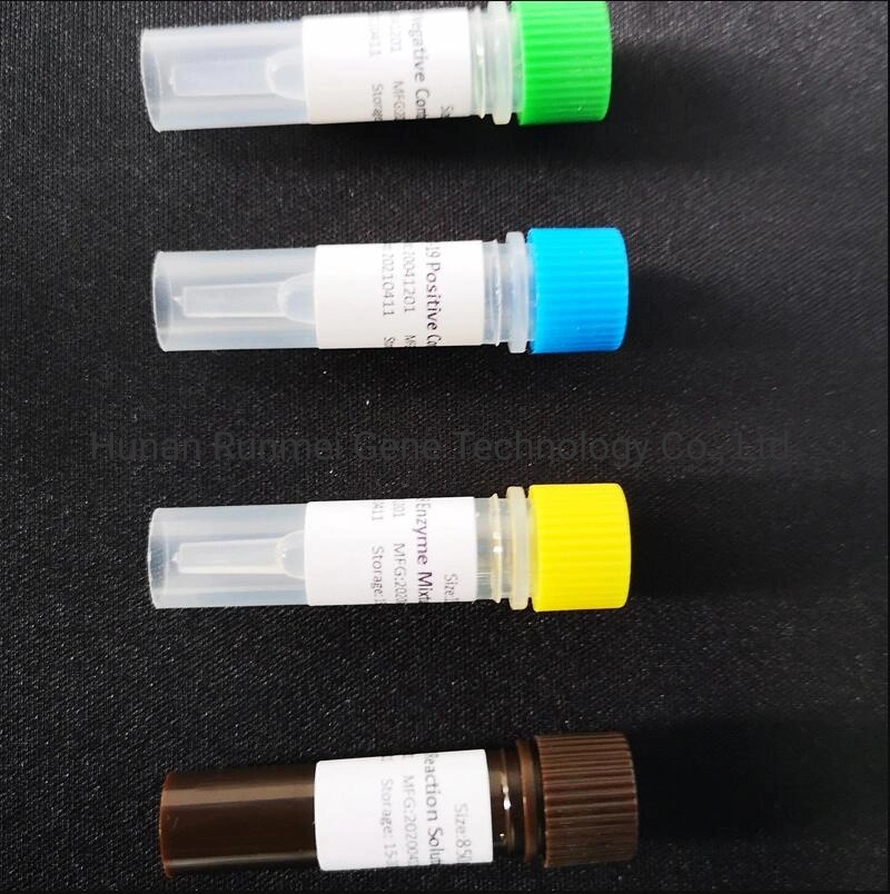 China Großhandel medizinische Nukleinsäure Detection Kit PCR Test Kit