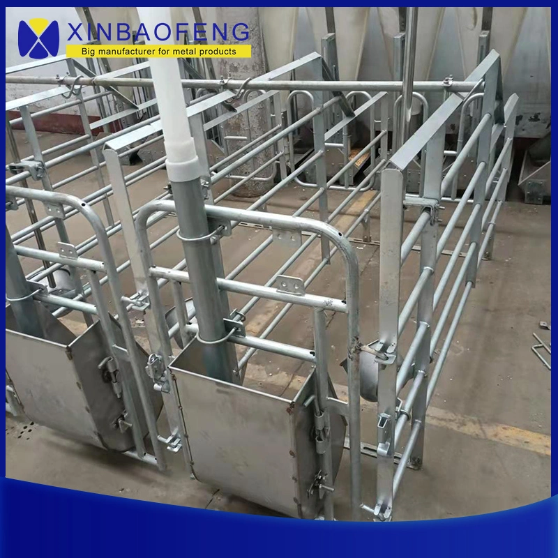 Factory Pig Breeding Equipment Weaning Stall Location Bar for Pregnant Sow Gestation Stall Pig Farrowing Crate