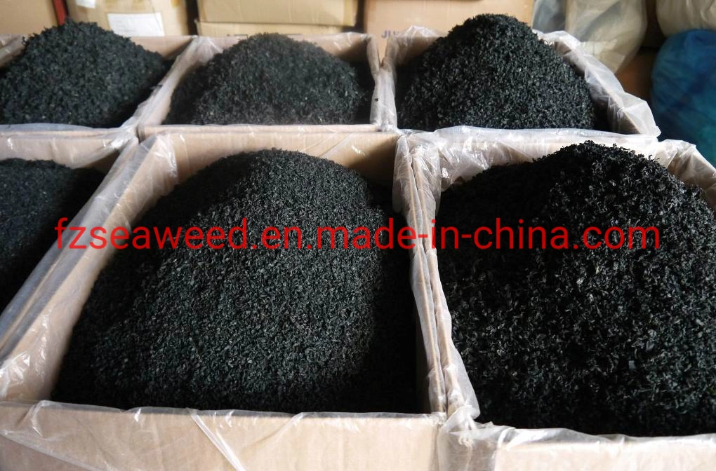 Top Quanlity Seafood Seaweed Wakame for Wholesale