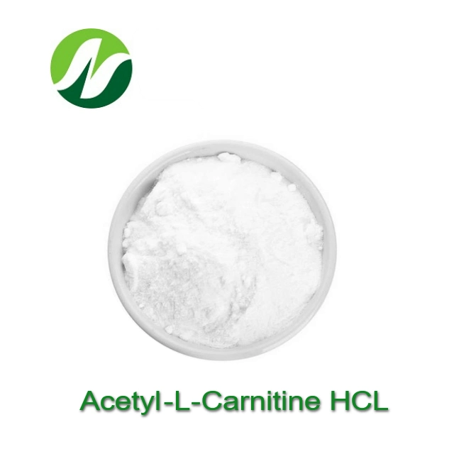 Gute Qualität Heißer Verkauf 98,0% Acetyl-L-Carnitin HCl CAS 5080-50-2