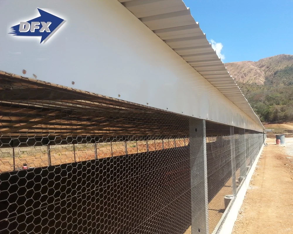 Vorgefertigte Automatische Stahlkonstruktion Geflügelfarm Gebäude Hühnerstall Broiler Hausentwurf