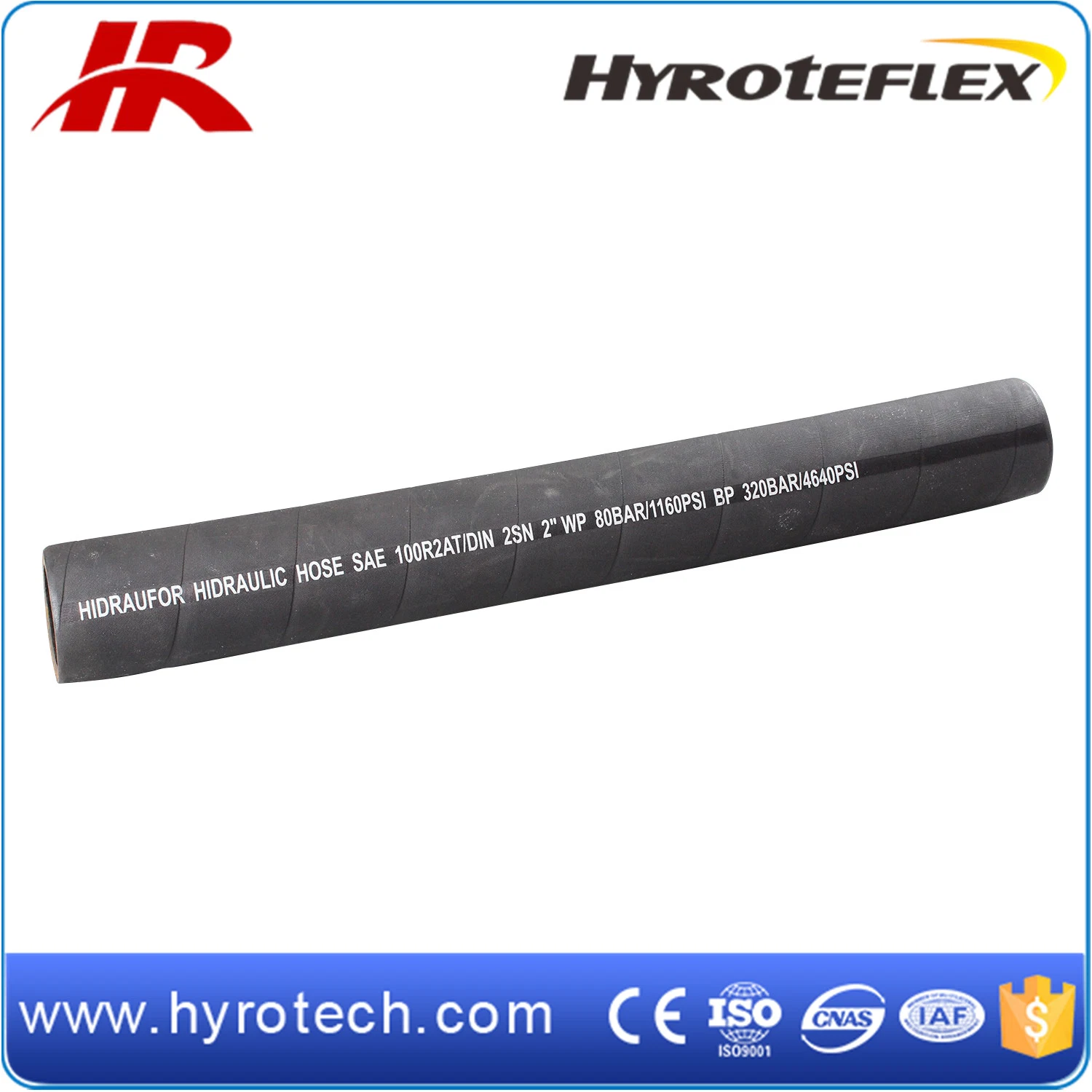 Industrial Hose SAE 100r2at /DIN En853 2sn High Pressure Hose