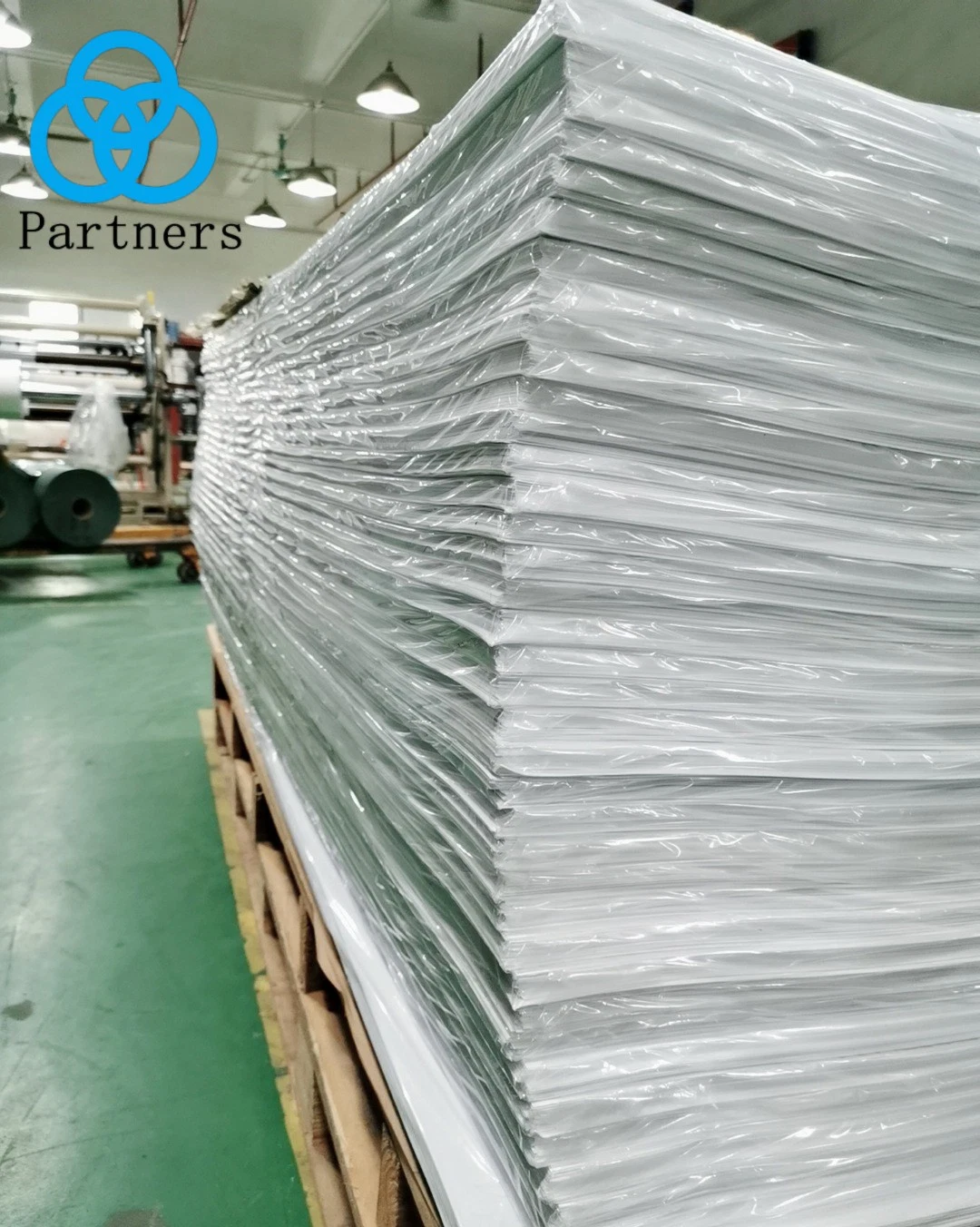 All Kinds of Thickness Size Specifications Transparent PVC Black PVC White PVC Sheet