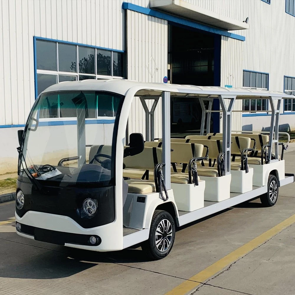 Autobús de 11 asientos coche de lujo de visita eléctrica