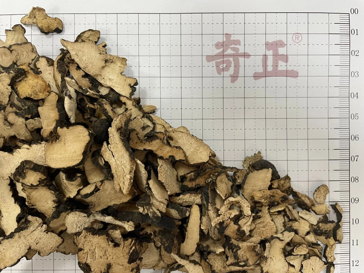 Zhu Ling Dried Natural Natural Dried Herb Polyporus Umbellatus Whole Part