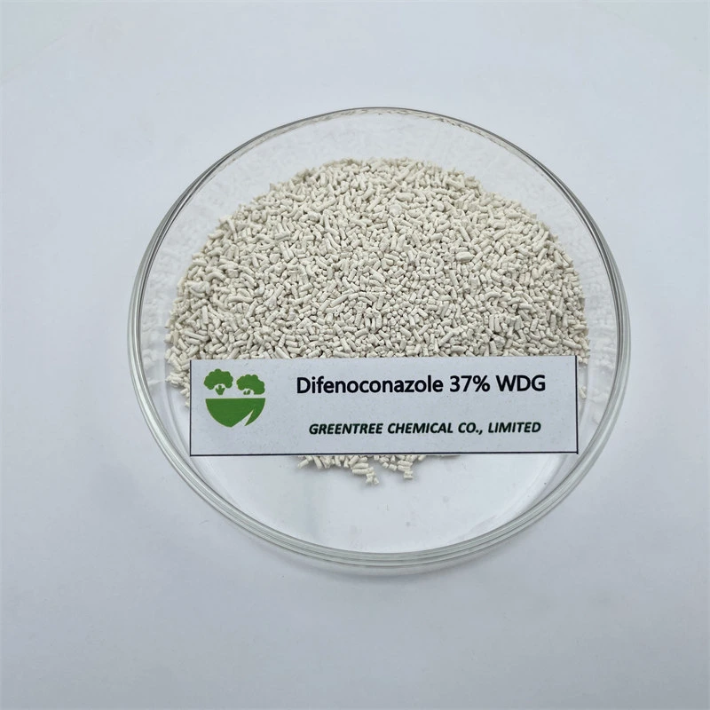 CAS رقم 119446-68-3 مبيد للفطريات 37%Wdg منتجات ديفينوكونازول