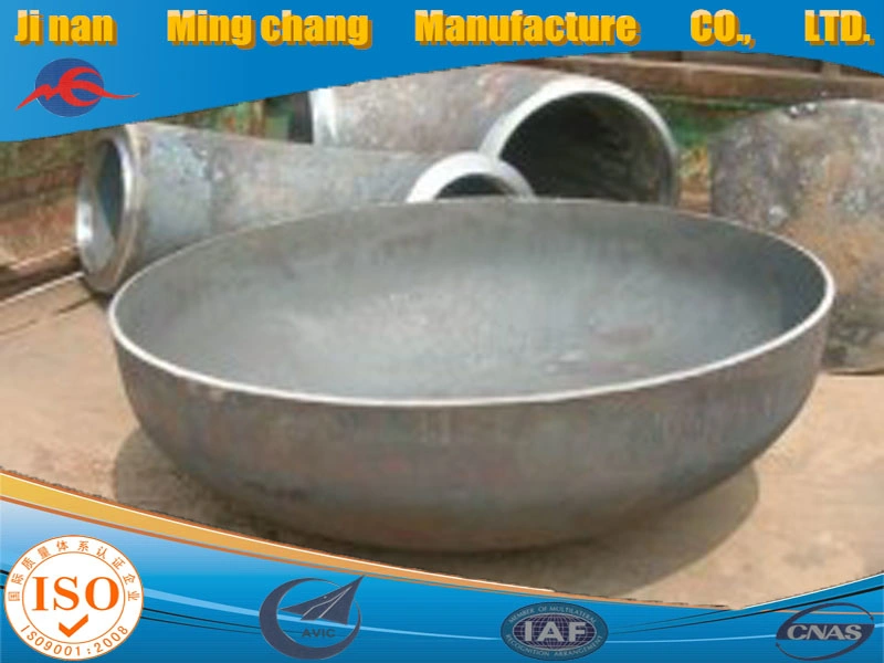 Stainless Steel Oval Head Cold Heading Forming