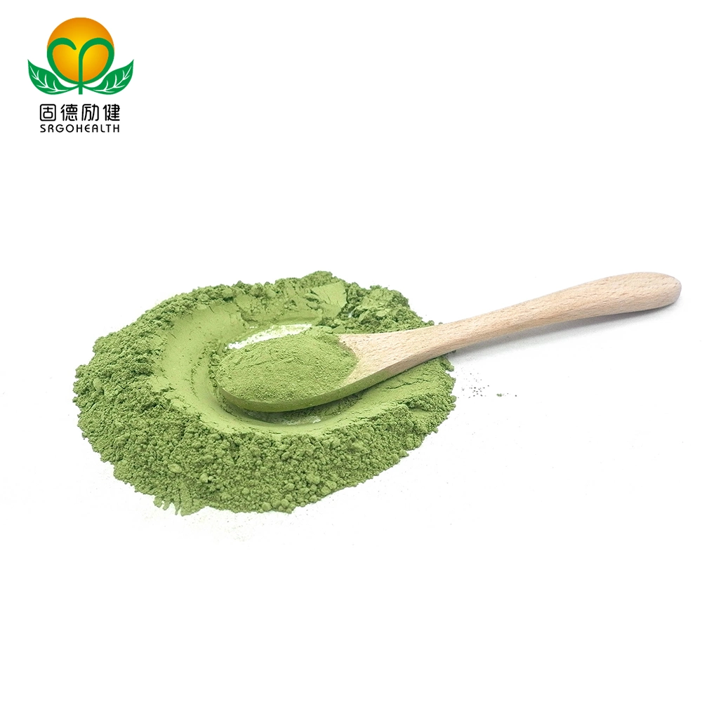 North America Top Selling Organic Super Food Spinach Powder