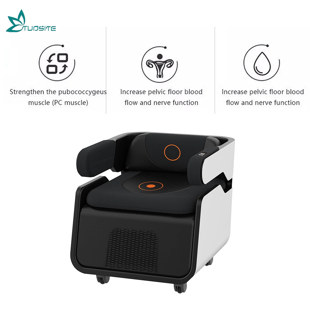 EMS Magic Chair Vaginal Physiotherapy for Beauty Salon Use