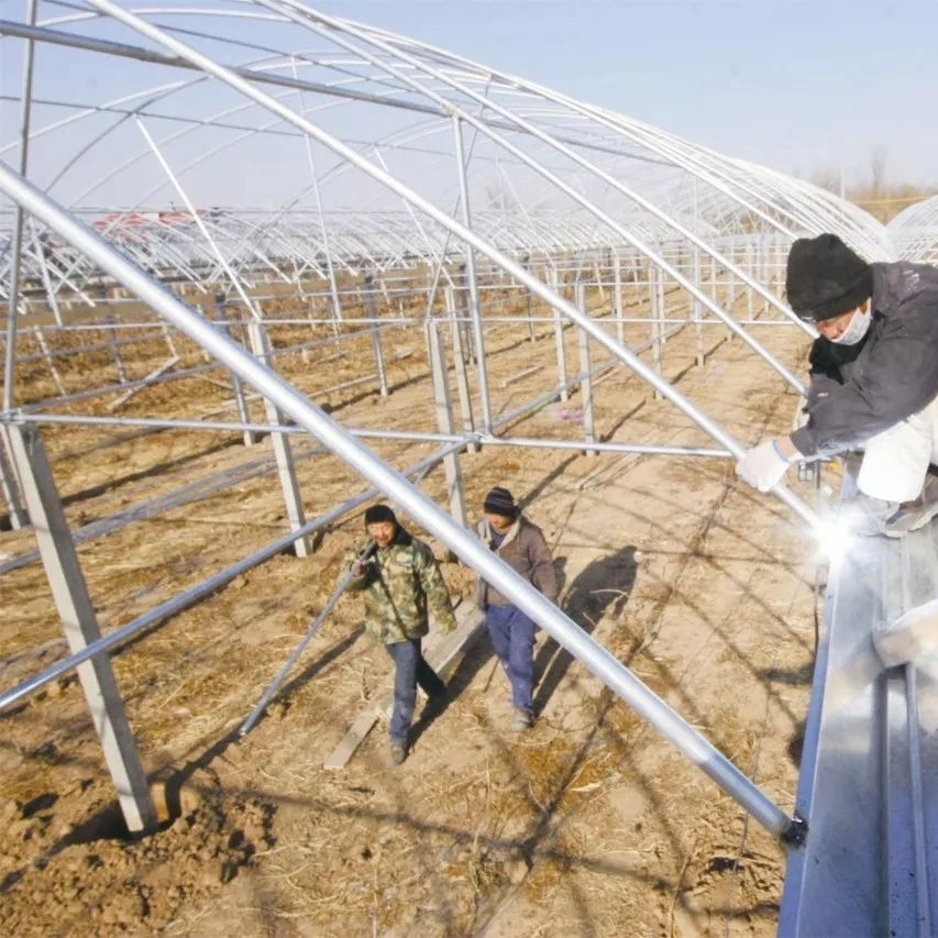 Poly-Tunnel Green House mit Sägezahn-Lüftungsöffnung für Tomate/Gurke Erdbeere Hydroponics Growing System