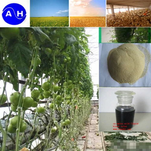 Ca Boron Zinc Amino Acid Chelate for Liquid Foliar Fertilizer
