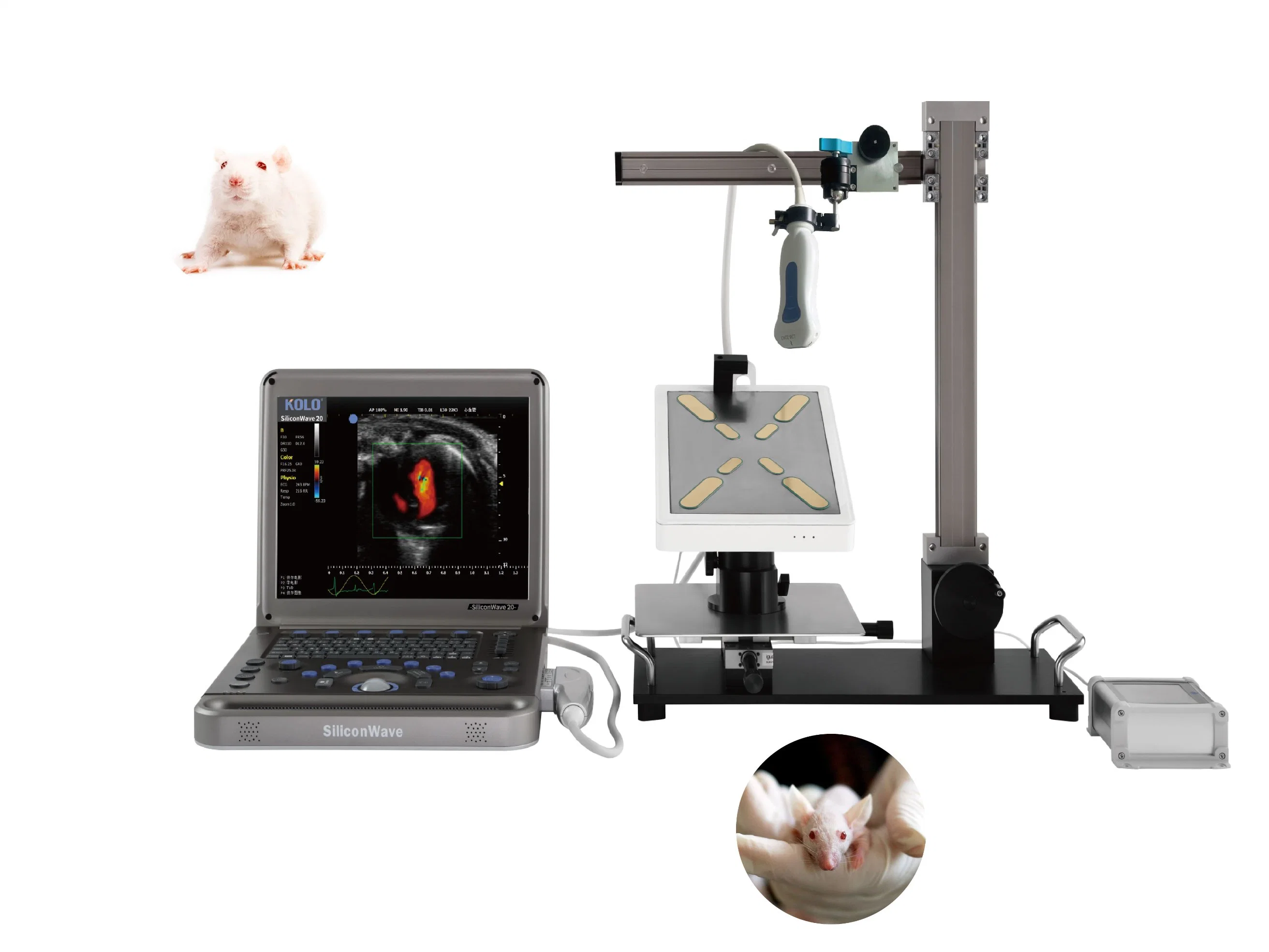 Escáner de ultrasonido para animales de laboratorio - portátil y fácil de usar Uso